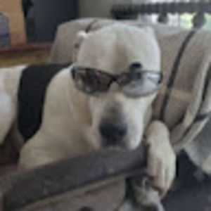 Meet your Posher, Gary